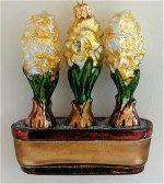 Hyacinths in Planter Yellow